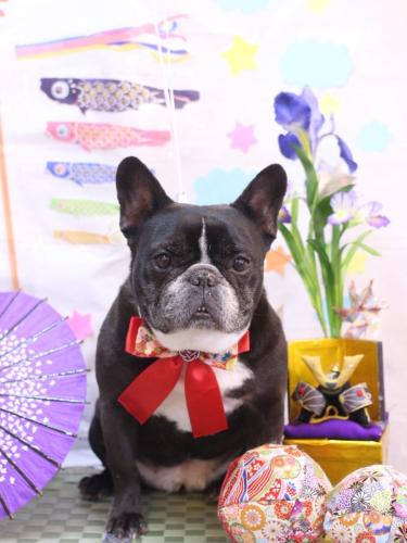 20240504スミレちゃん